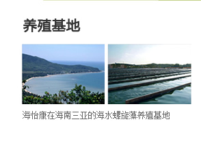海怡康螺旋藻養(yǎng)殖基地