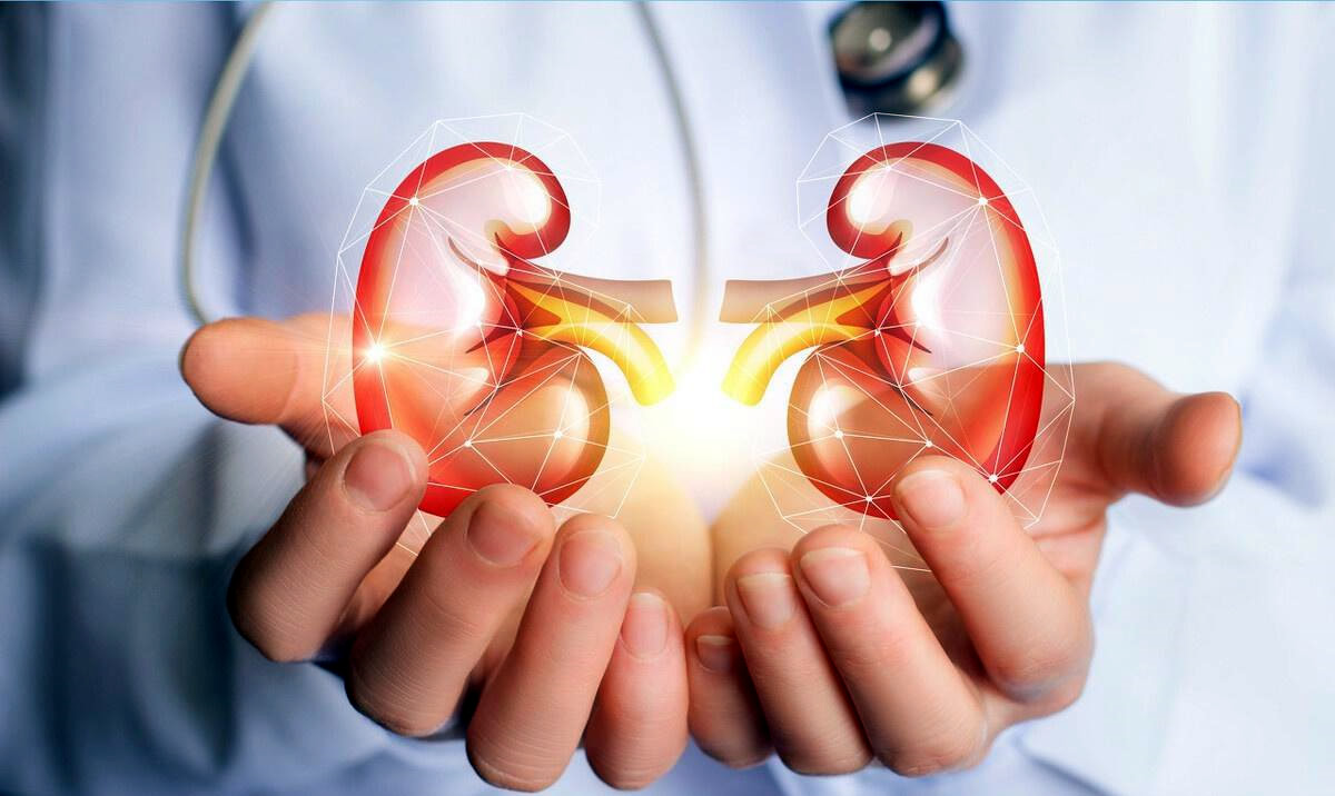 哪些小方法可以保護(hù)我們的腎臟？